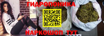дмт Кинель