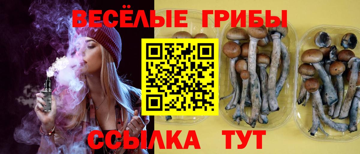 Псилоцибиновые грибы мухоморы Кохма