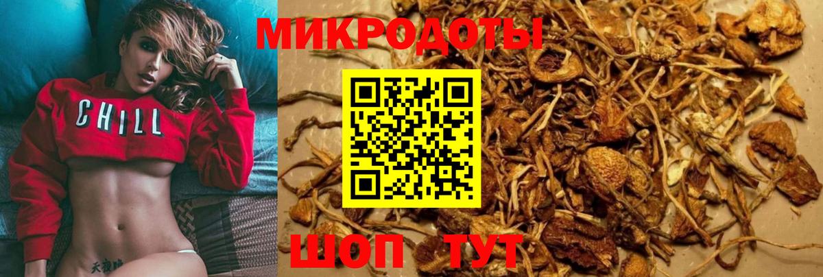 Кохма  Псилоцибиновые грибы Psilocybine cubensis  Вход с VPN 
